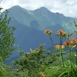 野猪农场 - 米卡雷 * Issor