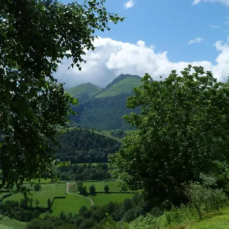 Séjour à la ferme La Ferme Aux Sangliers - Micalet *