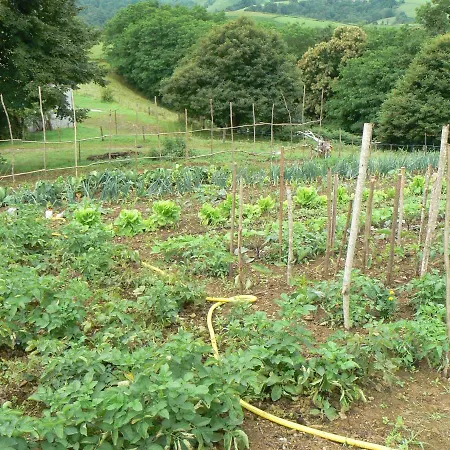 La Ferme Aux Sangliers - Micalet Séjour à la ferme Issor