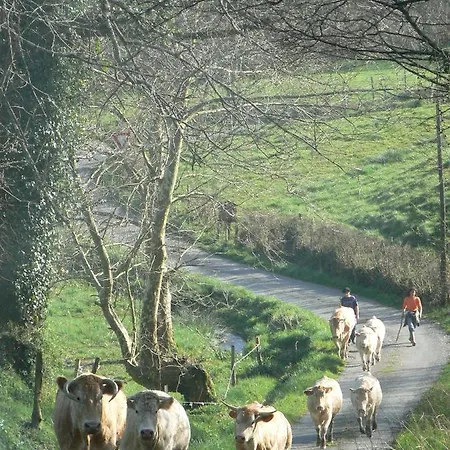 La Ferme Aux Sangliers - Micalet Séjour à la ferme *