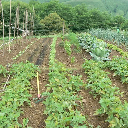 Séjour à la ferme La Ferme Aux Sangliers - Micalet *